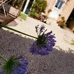 Apartament Sur Cour A 9e Mont D'or Lyon