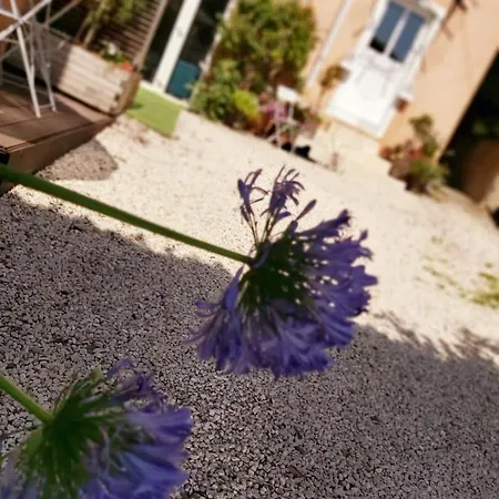 Appartement Sur Cour à 9e Mont D'or Lyon