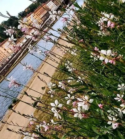 Appartement Sur Cour à 9e Mont D'or Lyon