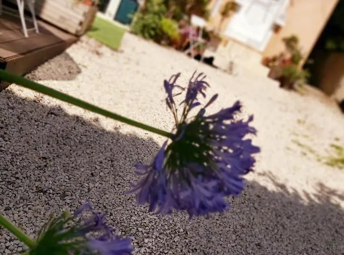 Apartman Sur Cour A 9e Mont D'or Lyon