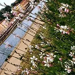 아파트 Sur Cour A 9e Mont D'or 리옹