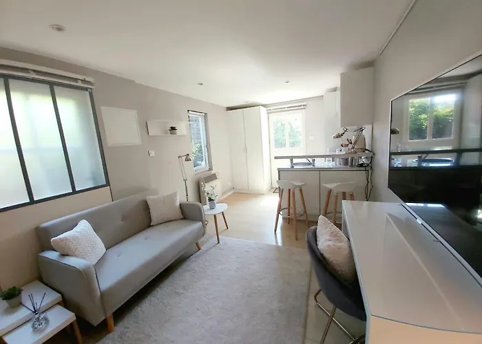 Sur Cour A 9e Mont D'or Lyon