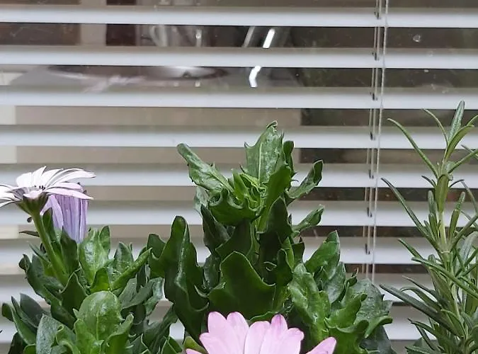 Apartament Sur Cour A 9e Mont D'or