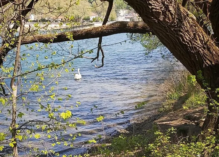 Sur Cour A 9e Mont D'or *