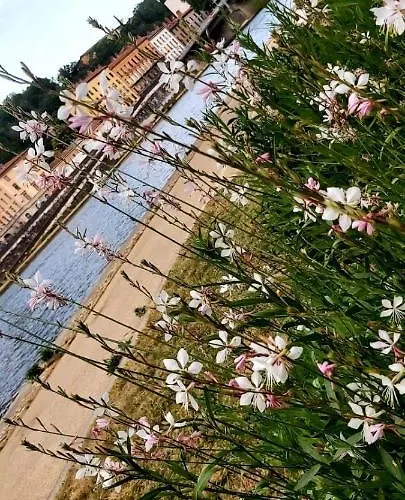 Apartament Sur Cour A 9e Mont D'or Lyon